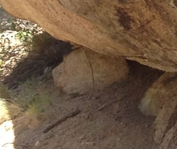 Giant Boulder Closeup