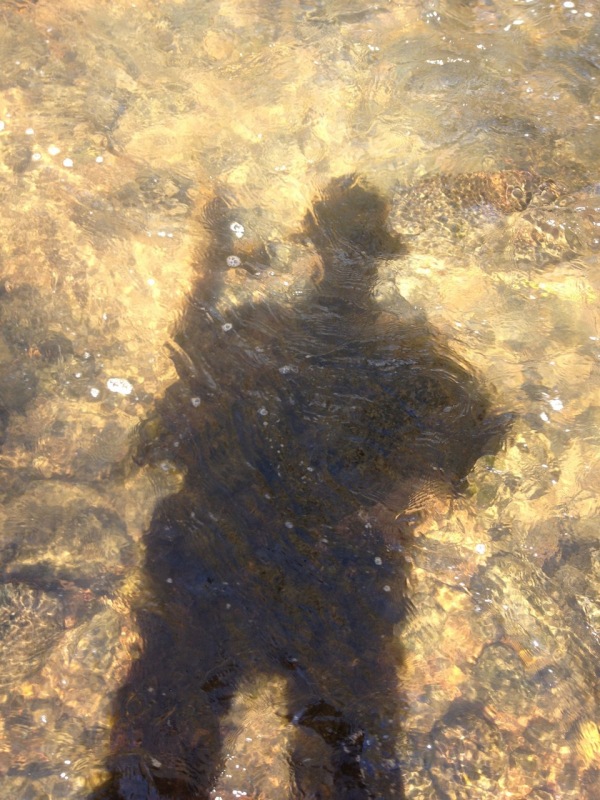 Shadow on the creek