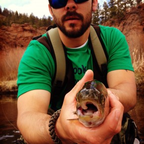 DeckersRainbowMouth